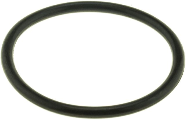 2007-2008 Volkswagen Eos Engine Coolant Thermostat Seal (Gates)