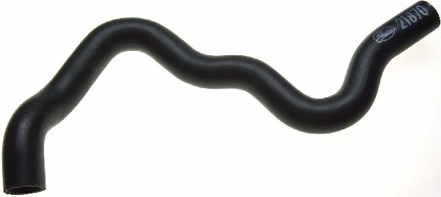 1990-1992 Nissan Stanza Radiator Coolant Hose - Upper (Gates)
