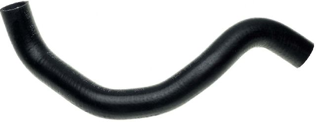 2004-2008 Acura TSX Radiator Coolant Hose - Lower (Gates)
