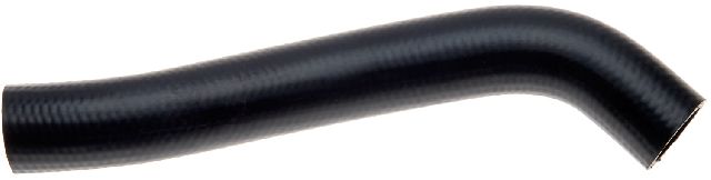 2012-2017 Kia Rio Radiator Coolant Hose - Upper - Radiator To Filler Neck (Gates)