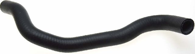 2000-2006 Nissan Sentra Radiator Coolant Hose - Lower (Gates)