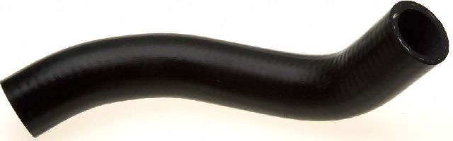 2002-2006 Acura RSX Radiator Coolant Hose - Lower (Gates)
