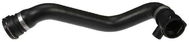 2000 BMW 528i Radiator Coolant Hose - Lower (Gates)