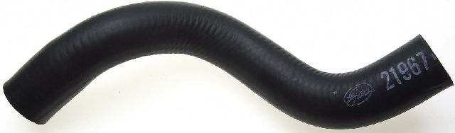 1992-1995 Dodge Spirit Radiator Coolant Hose - Lower (Gates)