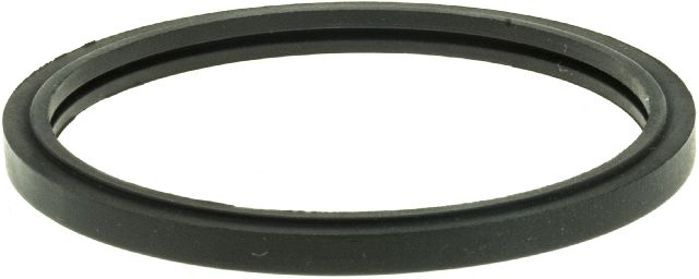 1993-1994 Chevrolet Astro Engine Coolant Thermostat Seal (Gates)