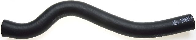1984-1990 Dodge Colt Radiator Coolant Hose - Upper (Gates)