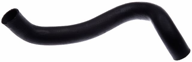 1991-2002 INFINITI G20 Radiator Coolant Hose - Lower (Gates)