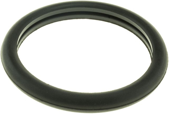 1991-2000 Ford Explorer Engine Coolant Thermostat Seal (Gates)