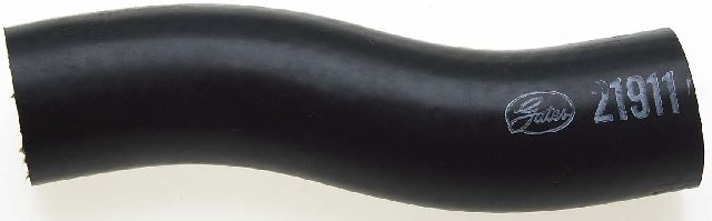 2007 Pontiac G6 Radiator Coolant Hose - Lower - Tee To Water Pump (Gates)