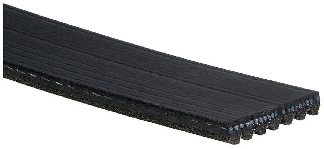 2016-2024 Honda Civic Serpentine Belt (Gates)