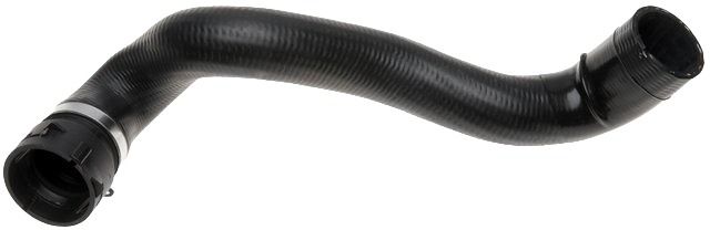 2000-2006 Mercedes-Benz CL500 Radiator Coolant Hose - Lower (Gates)