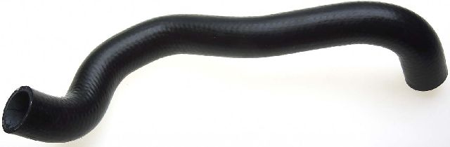 2000-2001 INFINITI G20 Radiator Coolant Hose - Lower (Gates)