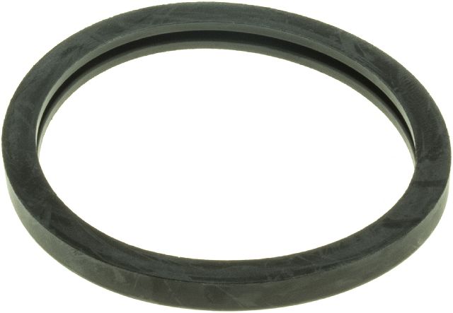 2010-2012 Chevrolet Equinox Engine Coolant Thermostat Seal (Gates)
