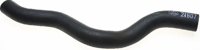 1986-1990 Acura Legend Radiator Coolant Hose - Lower (Gates)