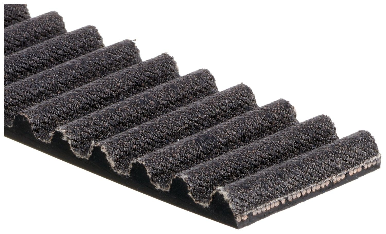 Engine Timing Belt