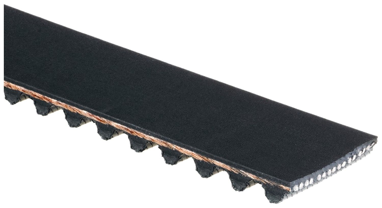 Engine Timing Belt
