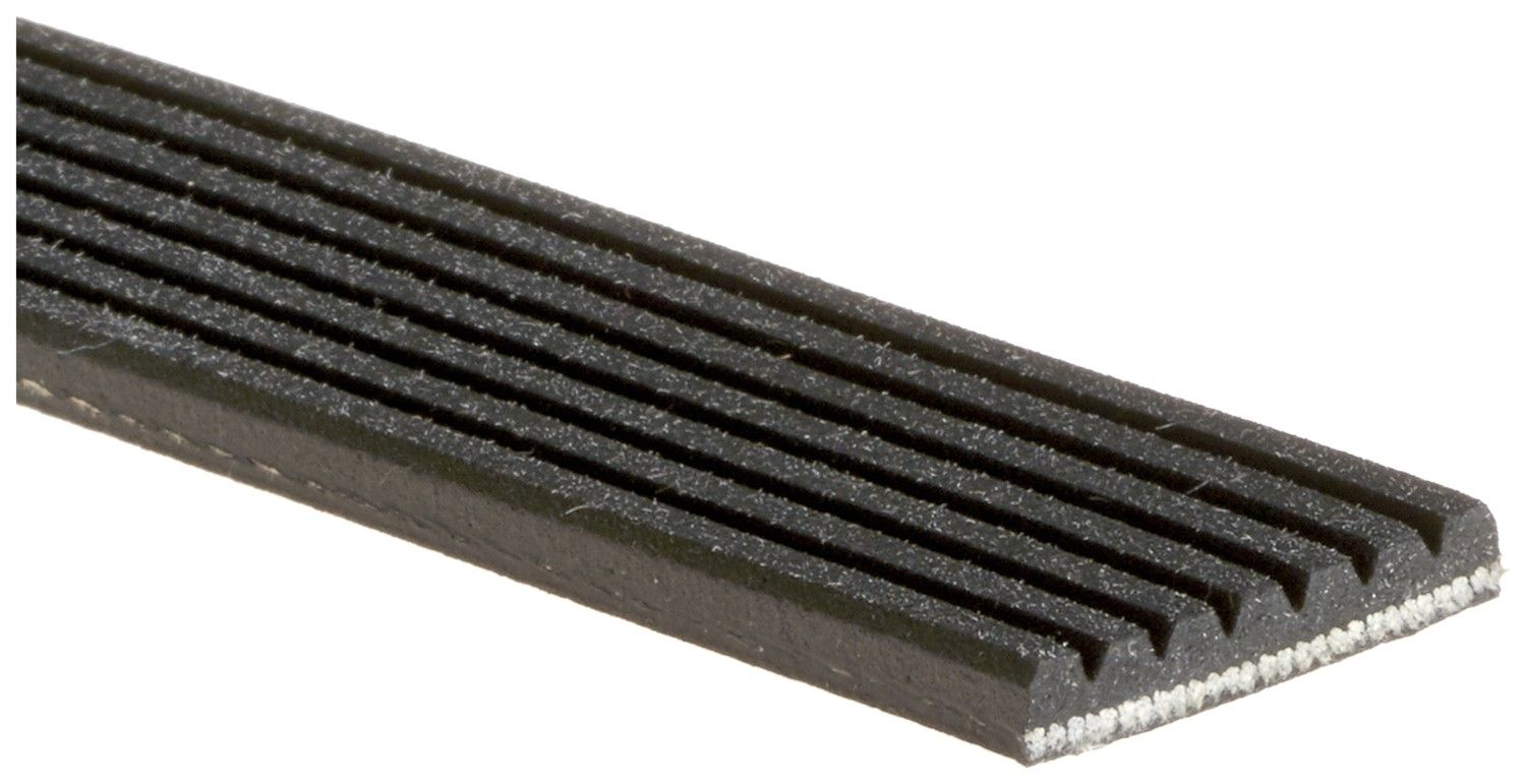 2012, 2011, 2010, 2009, 2008 INFINITI EX35 Serpentine Belt