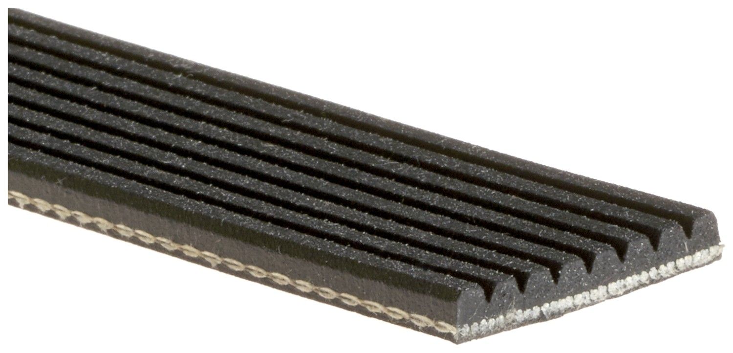 Serpentine Belt