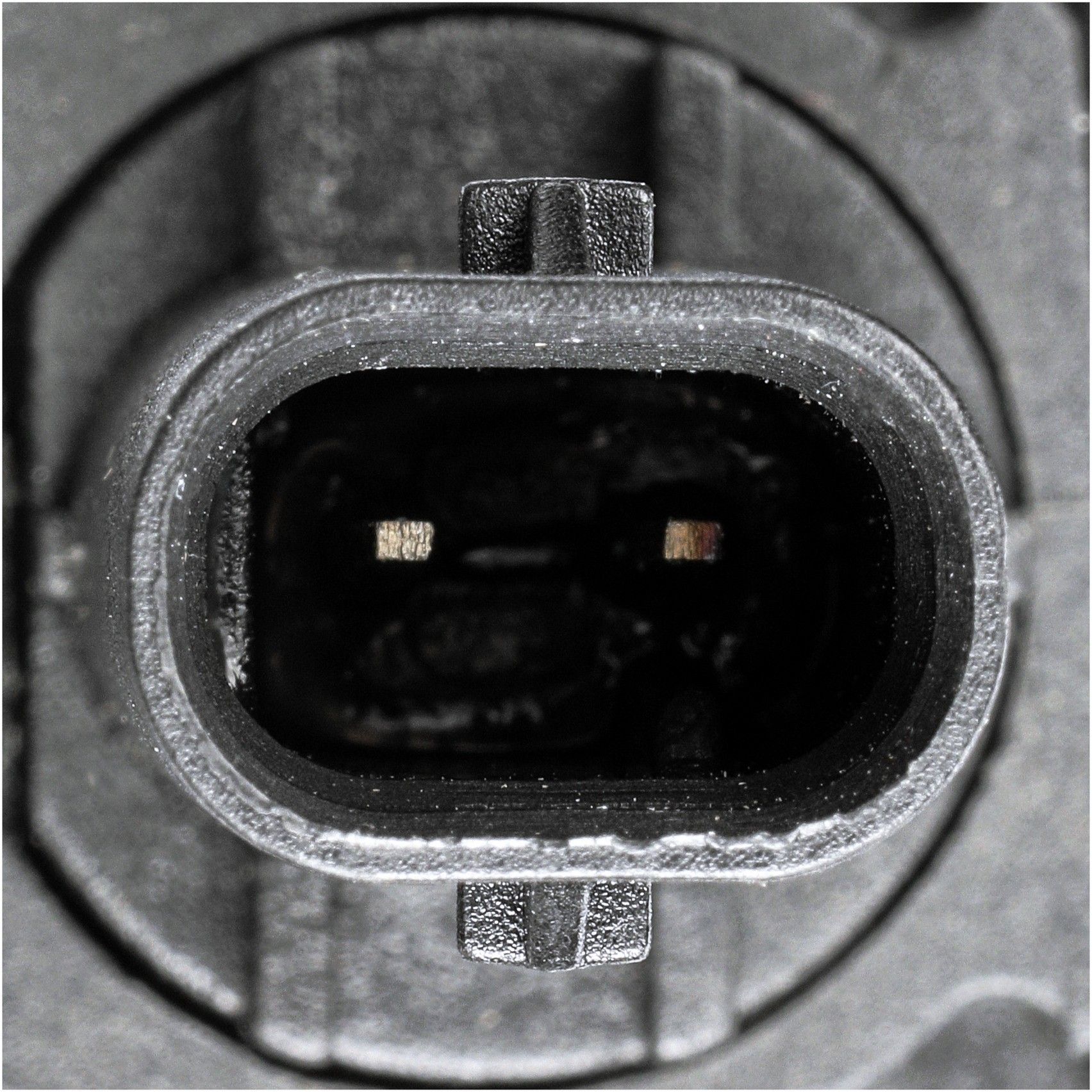 2020, 2019, 2018, 2017 Tesla 3 HVAC Heater Hose