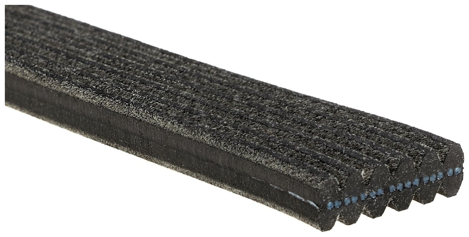 2020, 2019, 2018 Genesis G80 Serpentine Belt