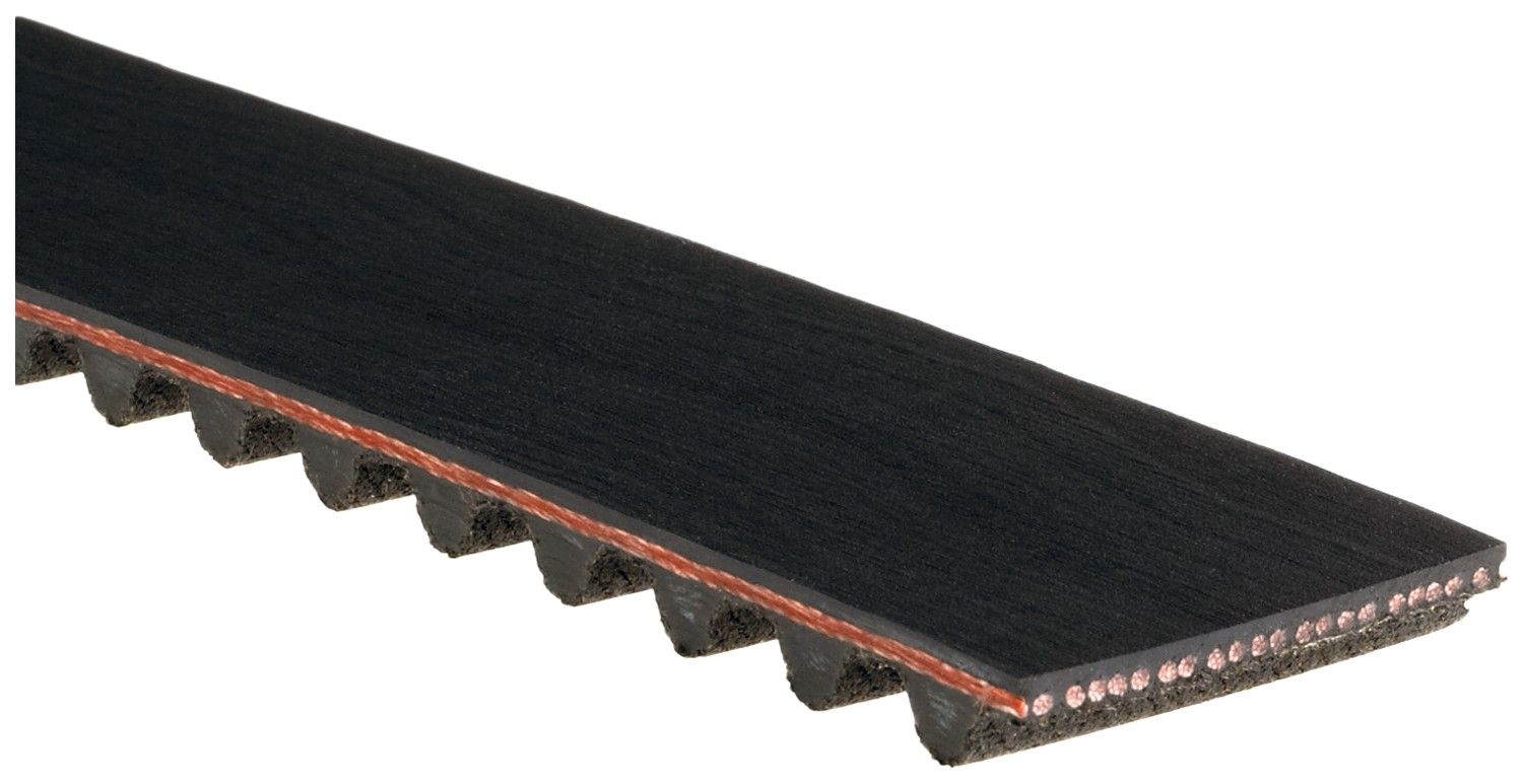 Engine Timing Belt