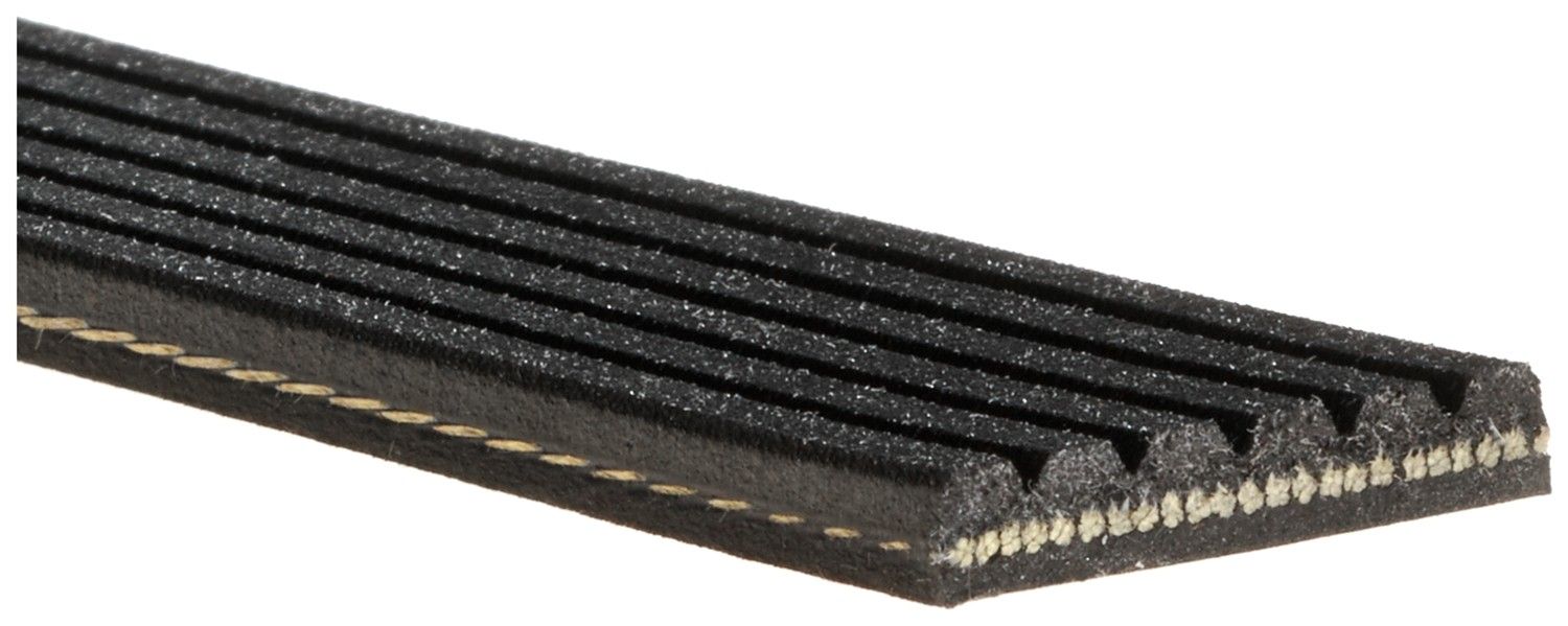 2007, 2006, 2005 Ford Focus Serpentine Belt