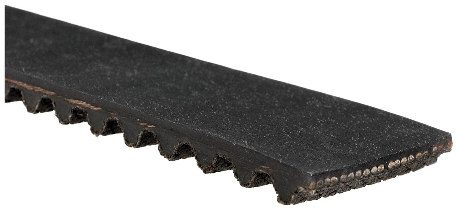 Engine Timing Belt