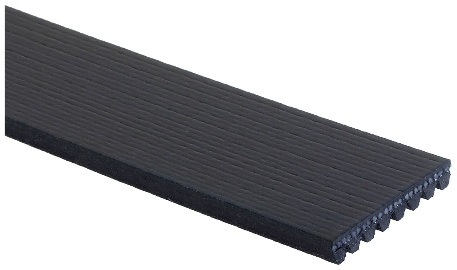 2004 Freightliner FS65 SHL TC2000 Serpentine Belt