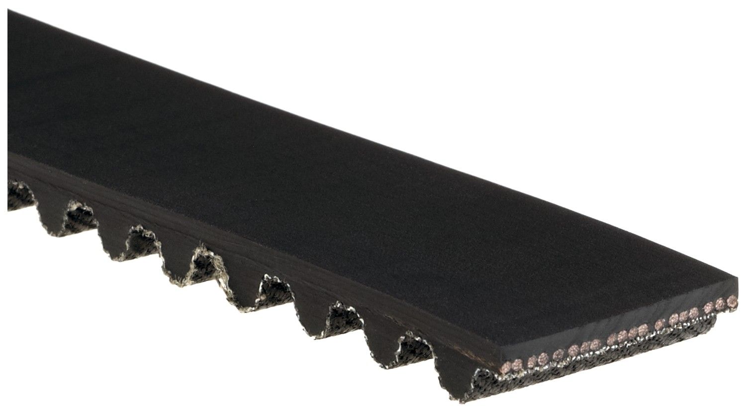 Engine Timing Belt