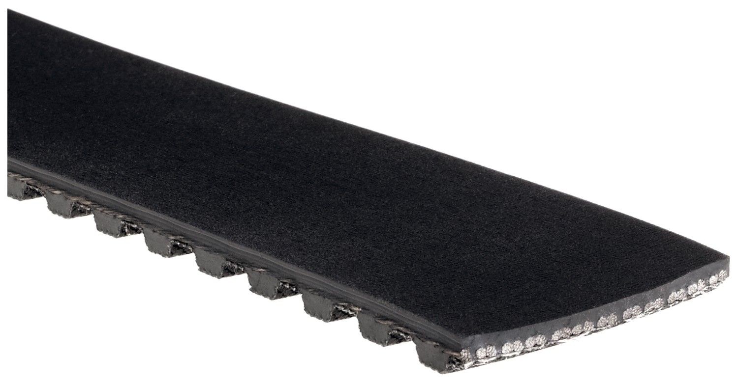 1985, 1984 GMC S15 Engine Timing Belt