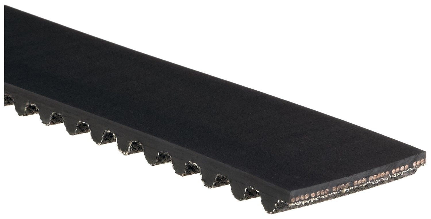 Engine Timing Belt