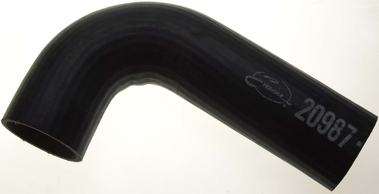 Radiator Coolant Hose