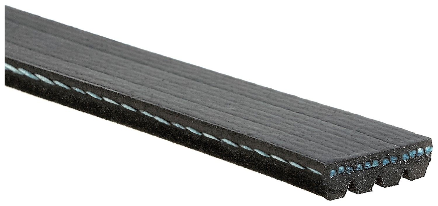 2024, 2023, 2022, 2021, 2020, 2019 Ford Edge Sport Serpentine Belt
