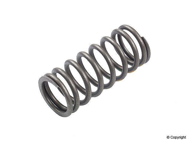 1989-1990 BMW 525i Engine Valve Spring - Inner (Genuine)