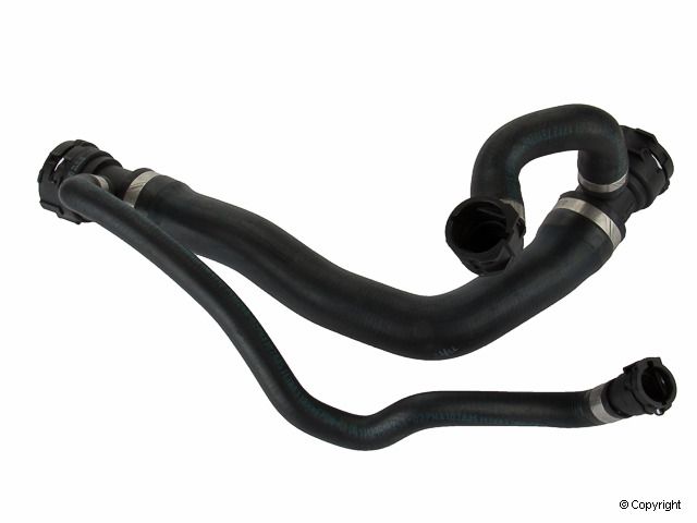 2004-2005 BMW 545i Radiator Coolant Hose - Upper (Genuine)