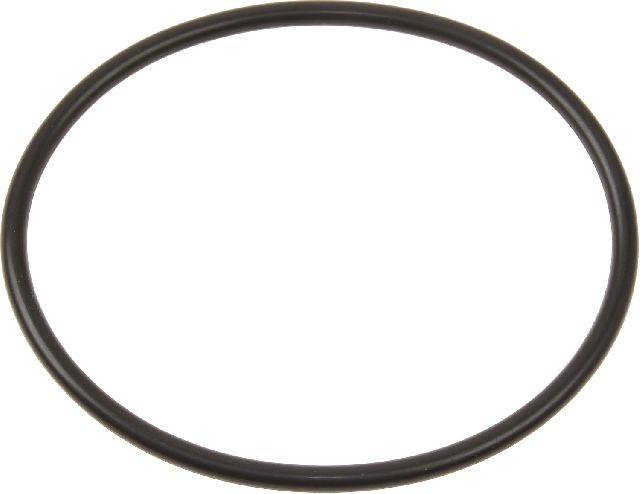 2005-2013 Porsche 911 Fuel Pump Tank Seal (Genuine)