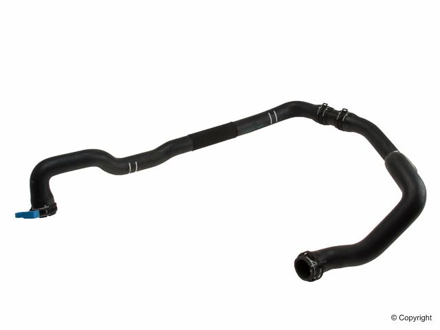 2007-2015 Mini Cooper Engine Coolant Hose - Lower (Genuine)
