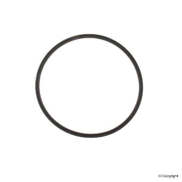 2004-2010 BMW X3 Fuel Tank Sending Unit O-Ring (Genuine)