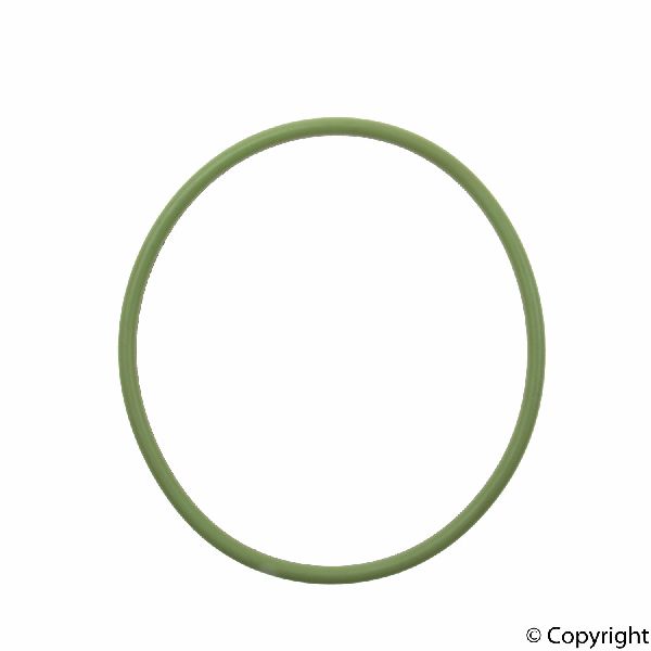 2008-2013 BMW M3 Fuel Pump O-Ring (Genuine)
