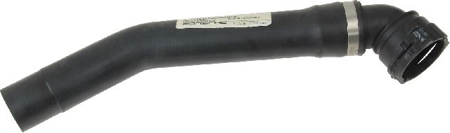 2004-2006 Porsche Cayenne Radiator Coolant Hose - Lower (Genuine)