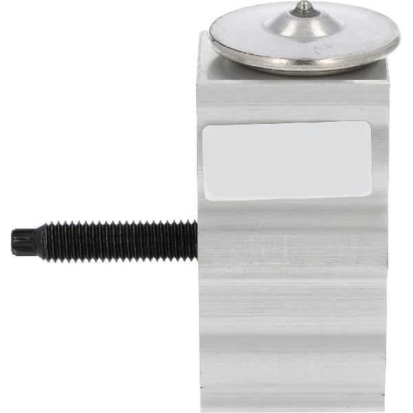 2020-2025 Cadillac CT4 A/C Expansion Valve (Global Parts)