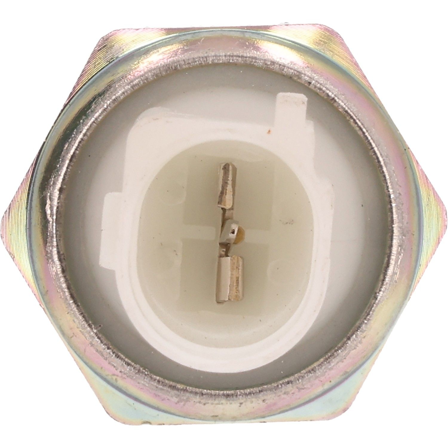 2010 Audi S8 Quattro Engine Oil Pressure Switch