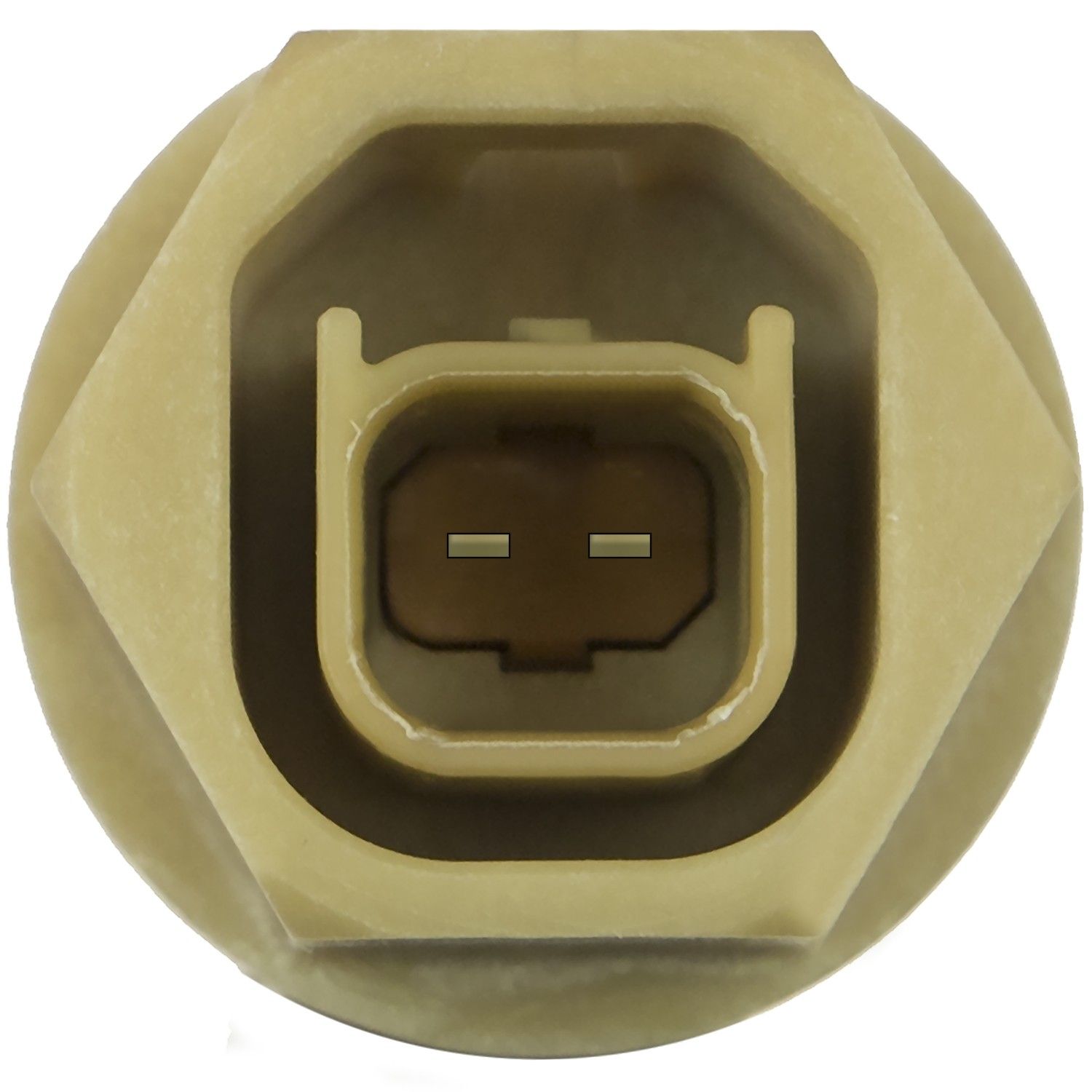 Engine Coolant Temperature Sensor