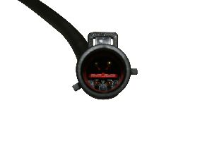 img1