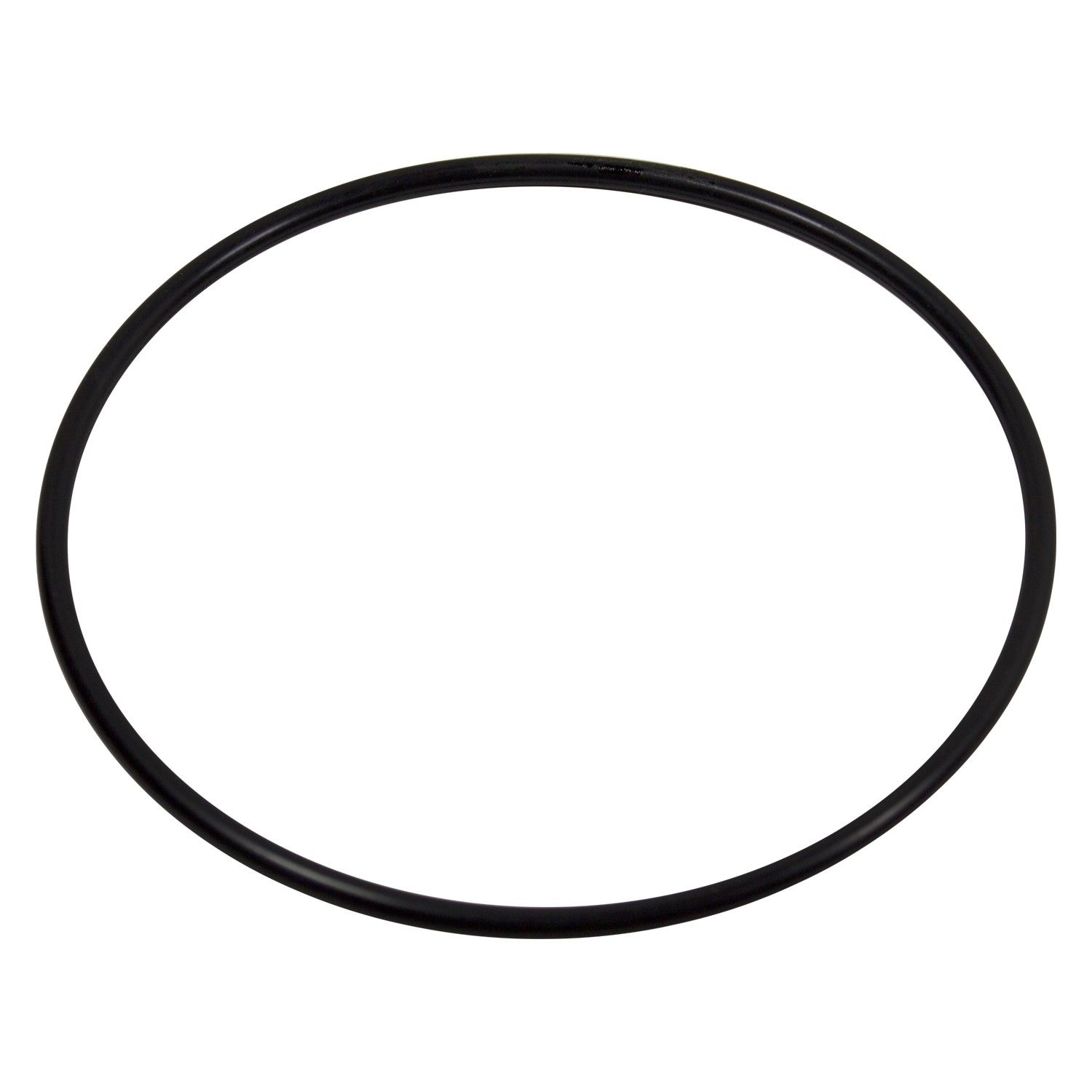 1999, 1998, 1997, 1996, 1995, 1994, 1993, 1992, 1991, 1990, 1989 Nissan Maxima Fuel Pump Tank Seal
