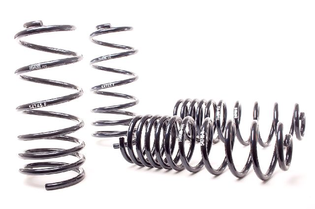 1990-1994 Volkswagen Passat Coil Spring Lowering Kit (H&R Special Springs LP)