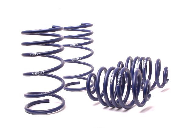 1991 BMW 318is Coil Spring Lowering Kit (H&R Special Springs LP)
