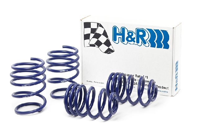 1999-2000 BMW 328i Coil Spring Lowering Kit (H&R Special Springs LP)