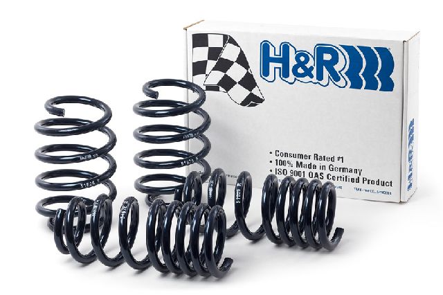 2010-2019 Ford Taurus Coil Spring Lowering Kit (H&R Special Springs LP)