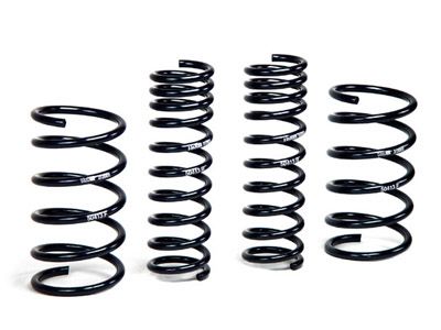 1989-1993 BMW 535i Coil Spring Lowering Kit (H&R Special Springs LP)